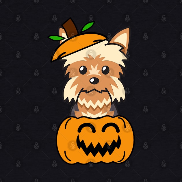 Funny yorkshire terrier is in a pumpkin by Pet Station